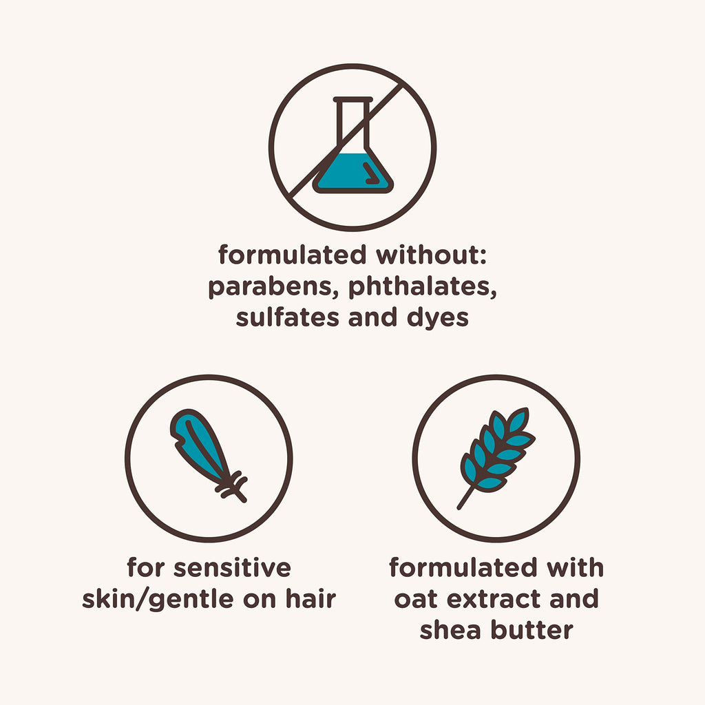 Aveeno Kids Coily & Curly Shampoo with Oat Extract & Shea Butter (12 fl oz)