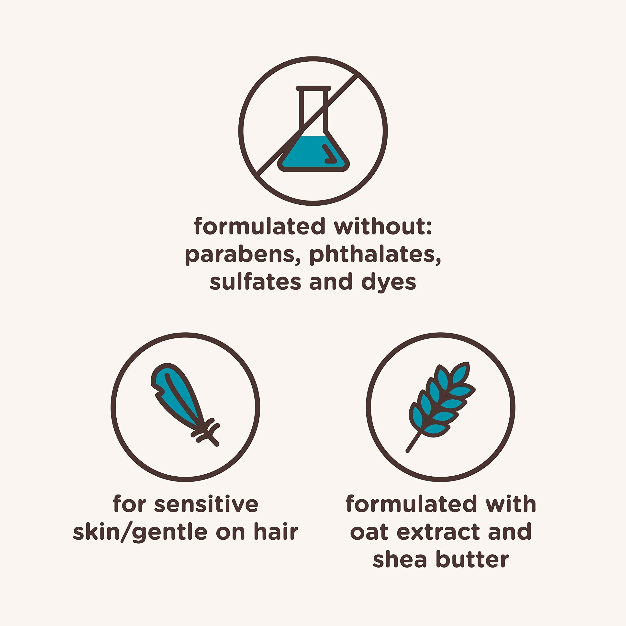 Aveeno Kids Coily & Curly Shampoo with Oat Extract & Shea Butter (12 fl oz)
