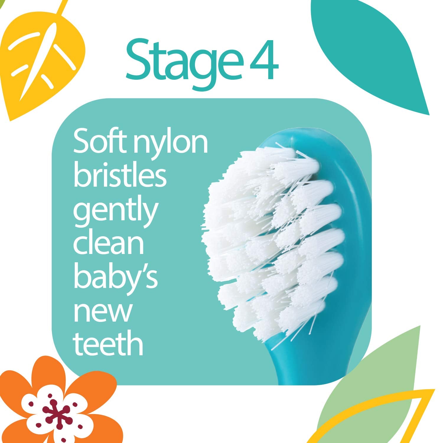 Dr Talbot’s 4 Stage Toothbrush Set